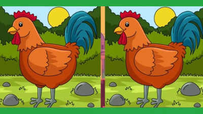 Find the difference: Can you spot THREE differences within 15 seconds?