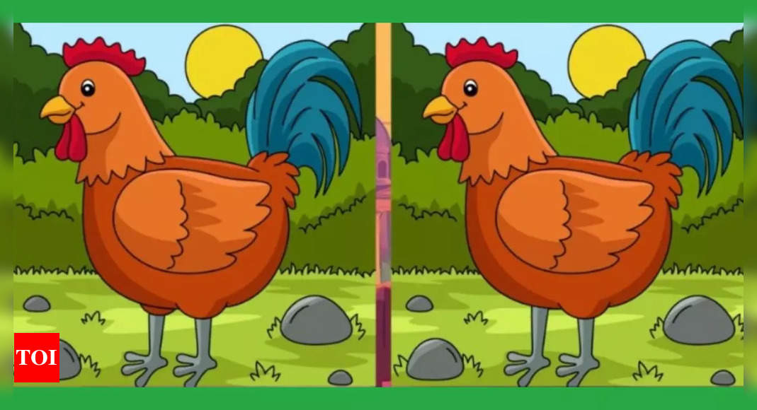 Find the difference: Can you spot THREE differences within 15 seconds ...