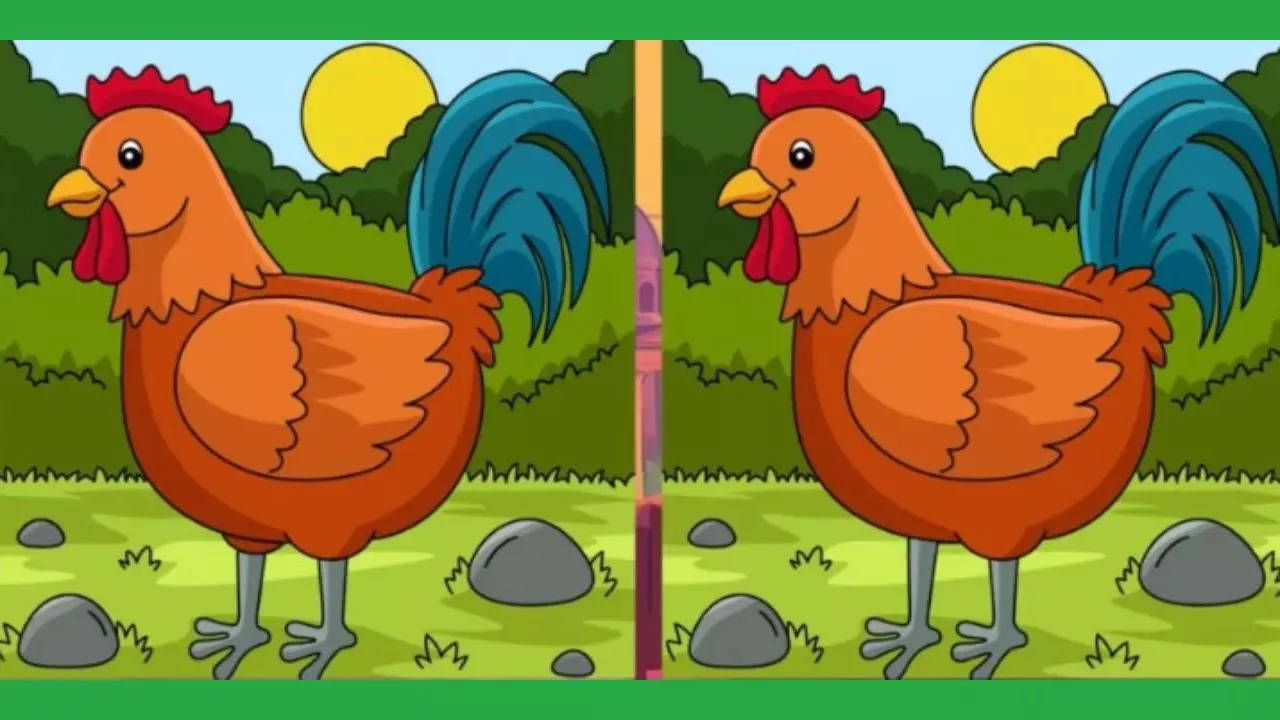 Find the difference: Can you spot THREE differences within 15 seconds? -  Times of India
