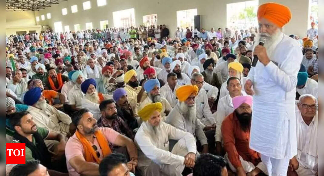 BKU gives ultimatum to decide on sunflower procurement on MSP till June