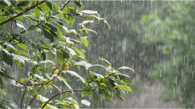 Ahmedabad may get light showers