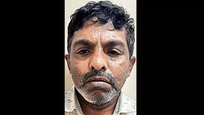 Plumber, 2 associates held for murdering 82-year-old woman in Bengaluru