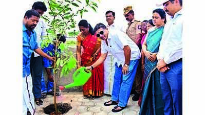 PTR plants saplings near Vaigai bank under greening programme