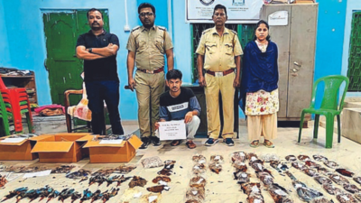 2k birds killed for fish bait, decor; accused paid in forex