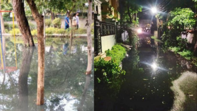 Toxic stew: Choked drain leaves half of Sec 19 wading in sewage