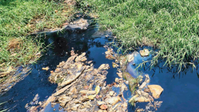 Chemical streams flow into Yamuna in Sonipat | Gurgaon News - Times of ...