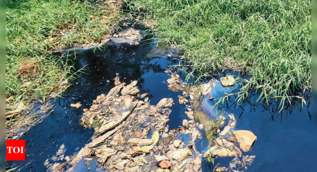 Chemical streams flow into Yamuna in Sonipat | Gurgaon News - Times of ...