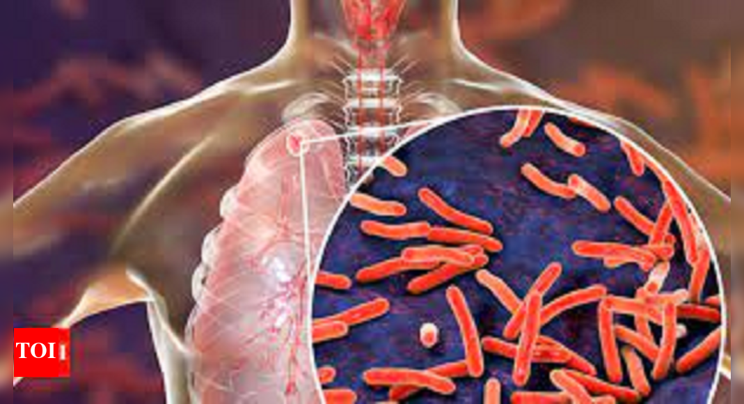 More Males Infected With Tb Cases Than Females In Mp | Indore News