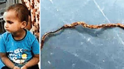 Three-year-old boy chews snakelet to its death in UP's Farrukhabad, is fine