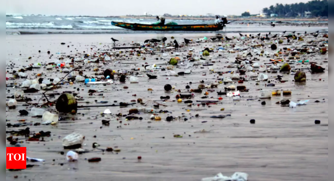 Microplastics found at beaches, in water and salt in Gujarat ...