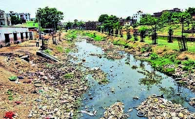 Harmu river only a drain in Ranchi now, water turns black