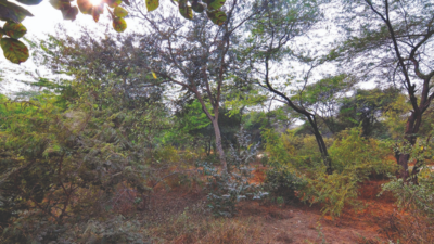 HC stays allotment of plots in Aravali green belt