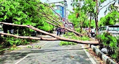 Heavy rain, gusty winds leave city in a mess