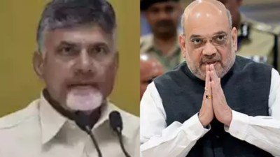 Delhi thaw: BJP & N Chandrababu Naidu's TDP bend over backwards