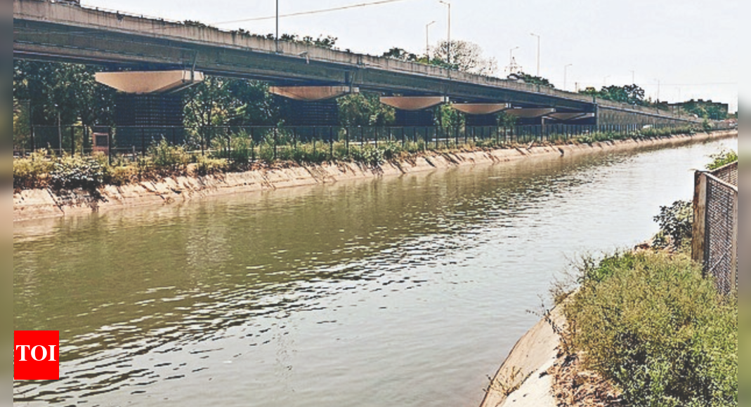 Sidhwan Canal: Mc Proposes Large-scale Plantation Along Sidhwan Canal ...
