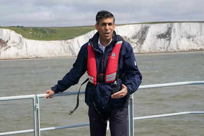 UK PM Sunak signals support for defence minister's Nato bid