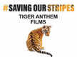
TOI Tiger Anthem played at govt’s Environment Day function
