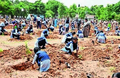 Rallies, plantation drives mark World Environment Day in city