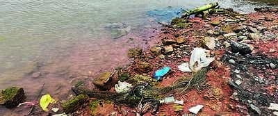 Study: 1.2 bn microplastics enter Arabian Sea daily via Nethravati