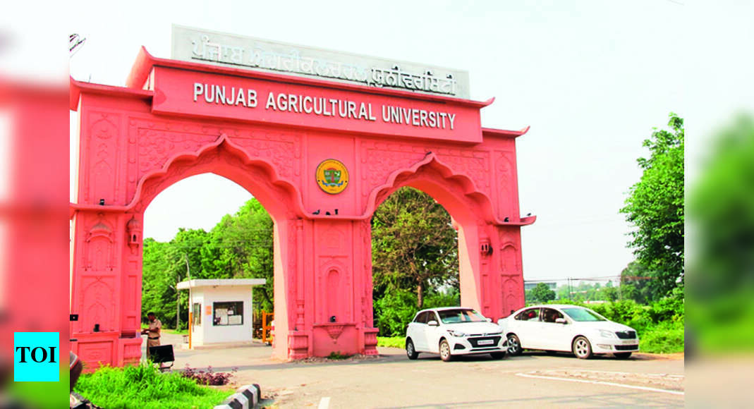 Pau: Nirf Rankings: Pau 3rd In Agri Category, 54th Overall In India ...