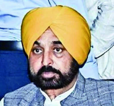 Punjab CM expresses concern over falling groundwater, pollution