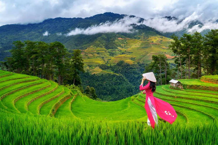 15 insanely pretty photos from Vietnam! | Times of India Travel