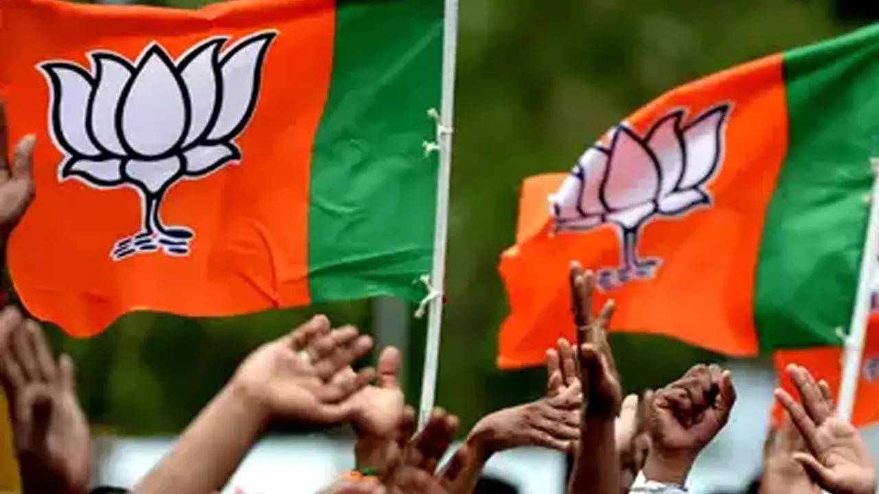 Bjp Leaders Divided Over Alliance With Tdp | Vijayawada News - Times of  India