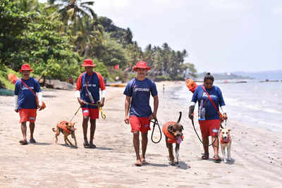 The paw squad is ready to save lives on Goa's beaches