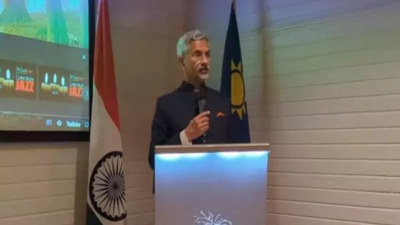 After re-introduction of cheetahs, India-Namibia to boost energy ties, says Jaishankar