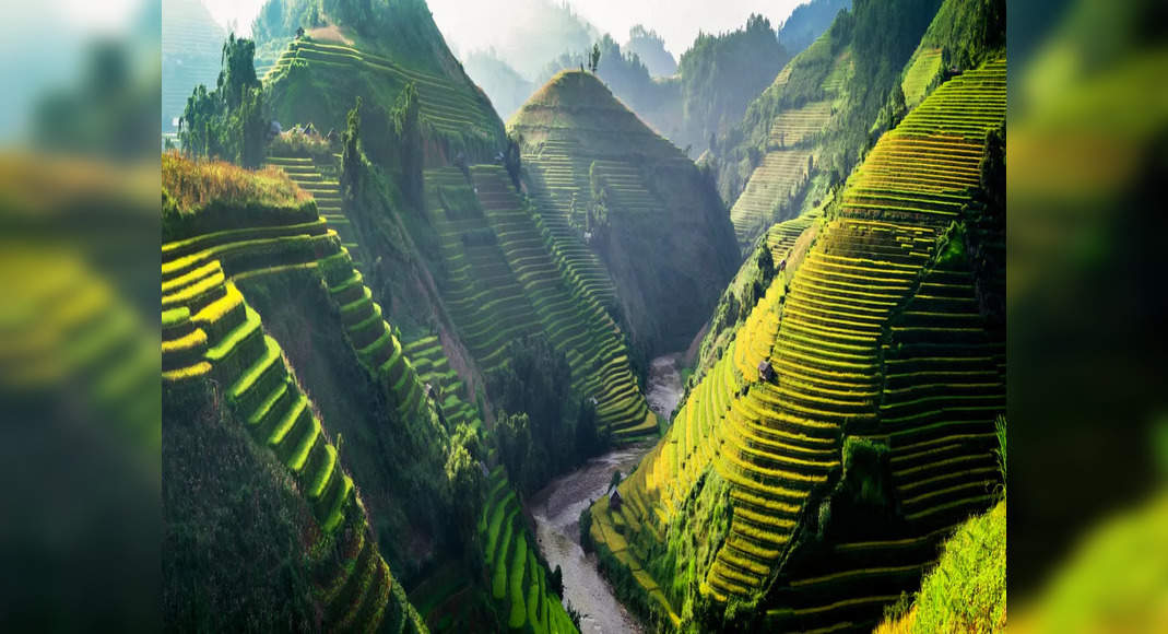 Rice Terraces Of Sapa In Vietnam Is A Good Reason To Go See The Country ...