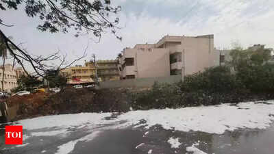 Shampoos, household washing powders responsible for Bellandur lake foaming?