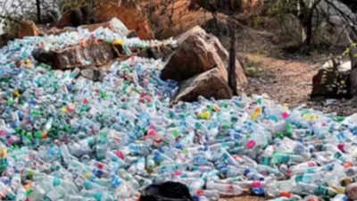 Plastic bans created awareness but stricter enforcement needed