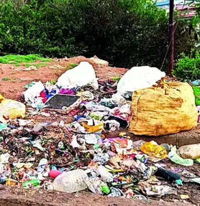 Ooty stinks as garbage collection slacks off