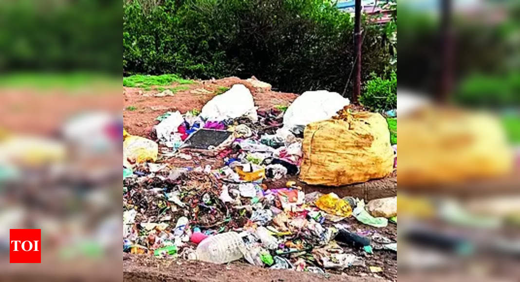 Udhagamandalam: Ooty Stinks As Garbage Collection Slacks Off ...