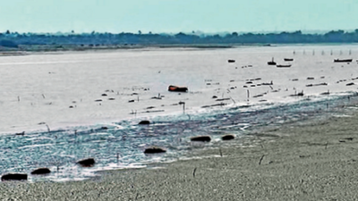 AI project to combat flood, industrial disaster in Bharuch