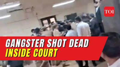 Gangster Sanjeev Jeeva shot dead inside Lucknow Court premises; cop, minor girl injured