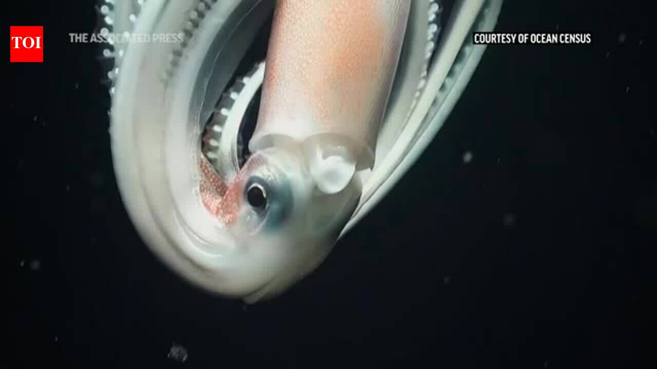 Climate change and plastics threaten world oceans