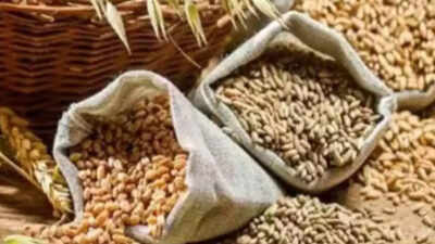 Government raises MSP for kharif crops, paddy’s hiked by 7%