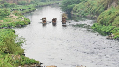 Chilla elevated road gets UP cabinet nod