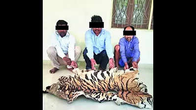 8 held for poaching big cats from Anuppur, Dindori