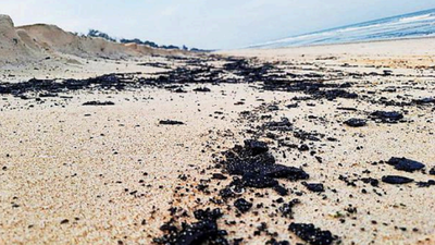 Tar balls surface on Kodi Beach, can harm turtles