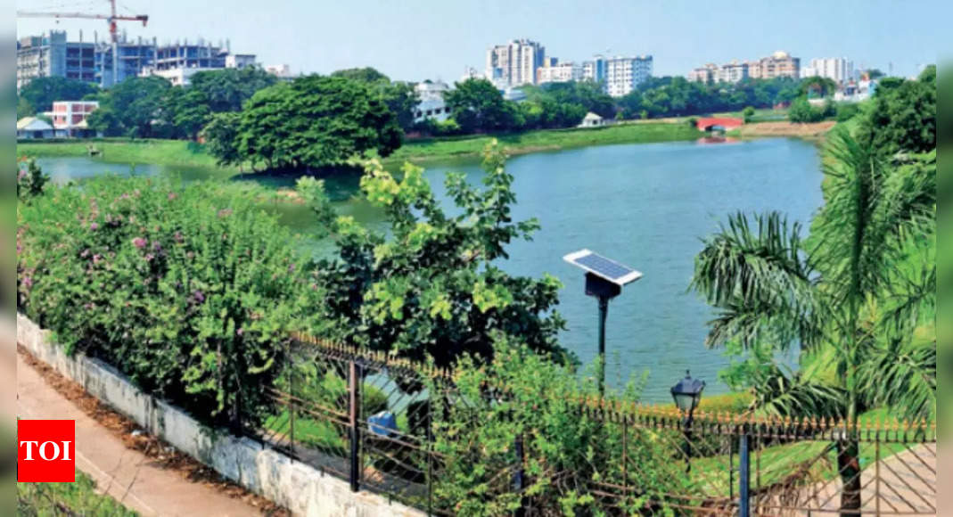 Visitor footfall to Chetpet eco-park rises | Chennai News - Times of India