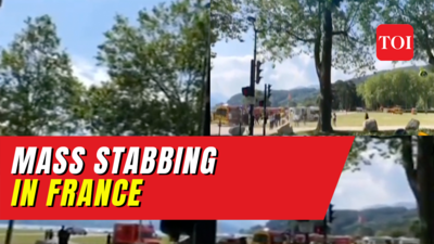 France Knife Attack: Pre-school Children Stabbed While Playing In Park ...