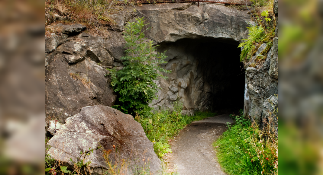 Delhi A 13th century secret tunnel discovered in Siri Fort, Delhi