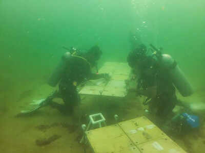 Meet Venkatesh Charloo, the banker turned diver, saving Goa’s corals