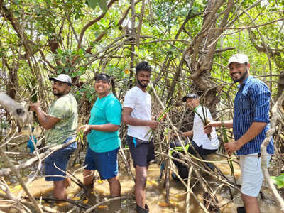 Students participate in a Mangrove plantation at Chicalim