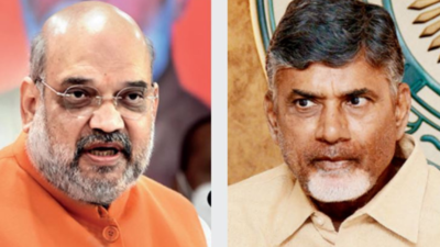 Post-Karnataka verdict, BJP open to regional allies for 2024 win