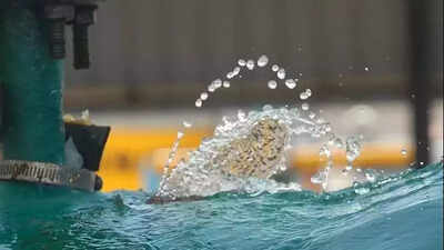Pune: Staggered water supply for Kharadi area from tomorrow