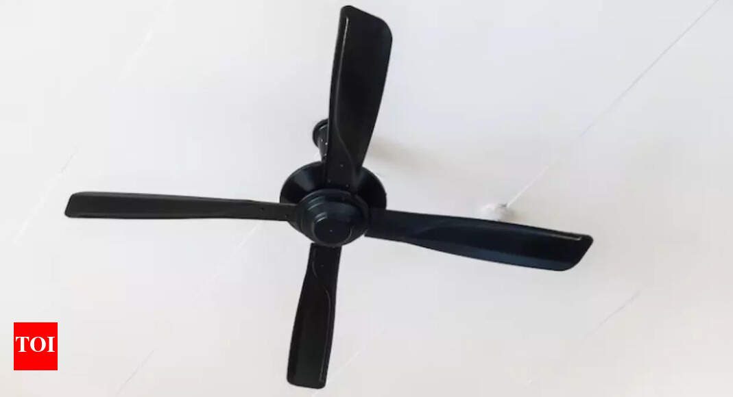 Affordable And Premium 600mm Ceiling Fans In India Top Picks Times affordable-and-premium-600mm-ceiling-fans-in-india-top-picks-times
