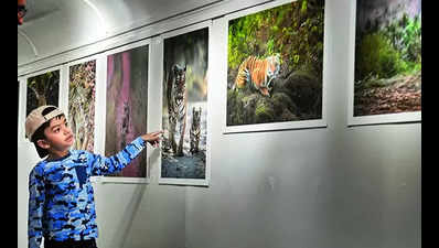 Travelling photo exhibition of big cats launched in city